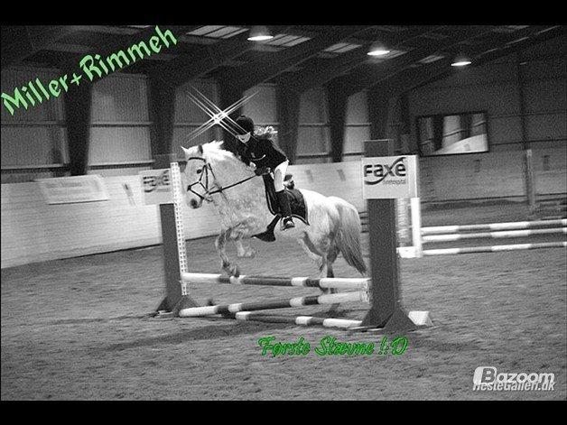 Anden særlig race Svanemark's Mille - Your reason to be.. billede 7