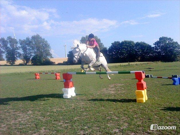 Anden særlig race Svanemark's Mille - is beating for this.. billede 9