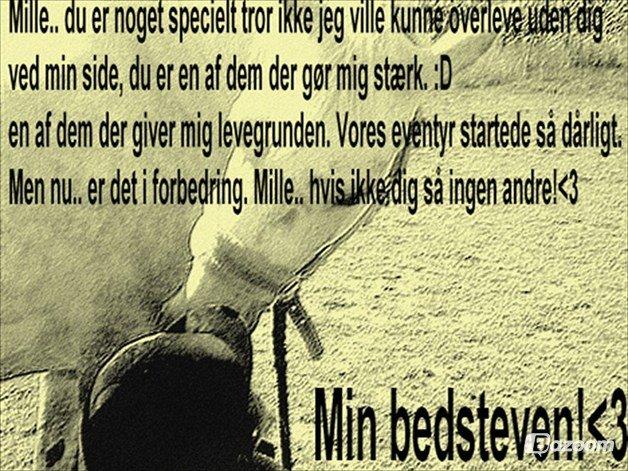 Anden særlig race Svanemark's Mille - if i'm louder.. billede 10