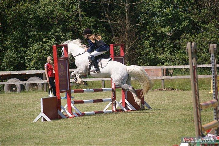 Anden særlig race Svanemark's Mille - in my arms and rescue me.. billede 13