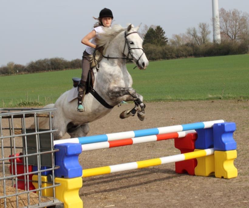 Anden særlig race Svanemark's Mille - cause' we are the same.. billede 14