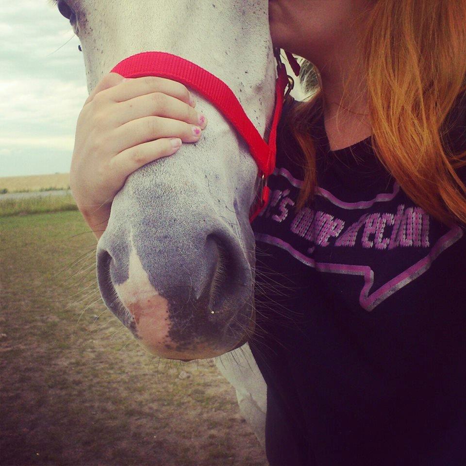 Anden særlig race Svanemark's Mille - when you leave it's gone again billede 16