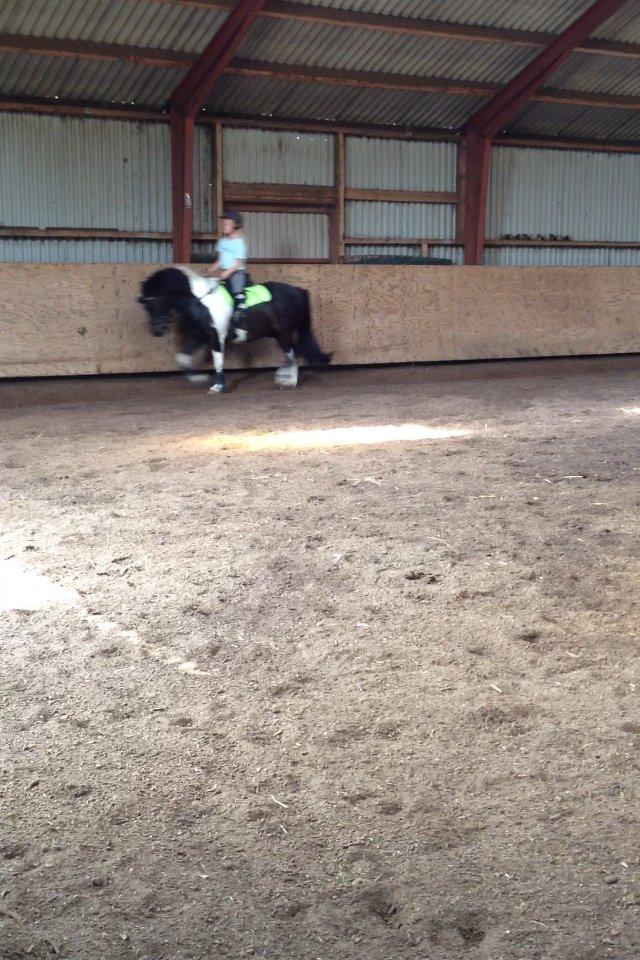 Anden særlig race Hammi (Den Lækre<3) - Skat.♥ billede 12