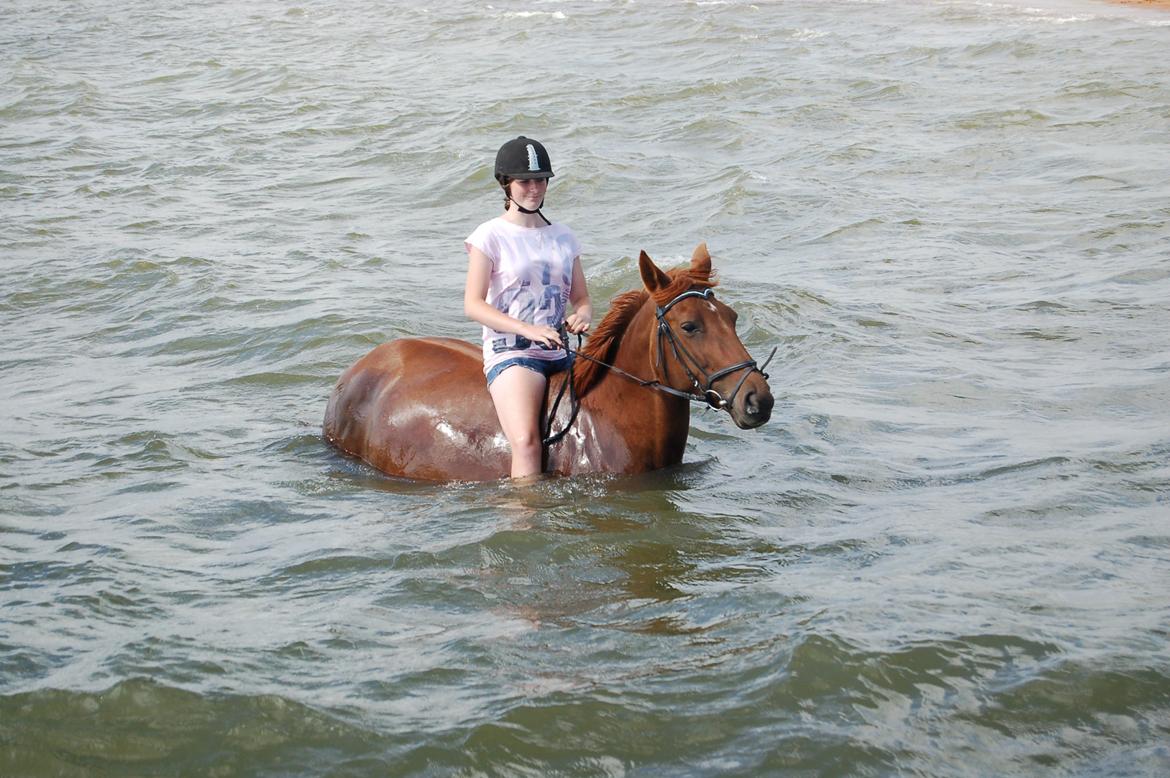 Anden særlig race Charming Sahlina - Første badetur i 2013 billede 12