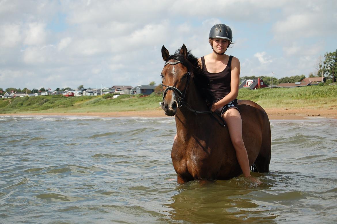 DSP Stidsbjergs Night Whisper - Stidsbjergs Night Whisper!
When evrythings wrong you make it right<3 billede 3