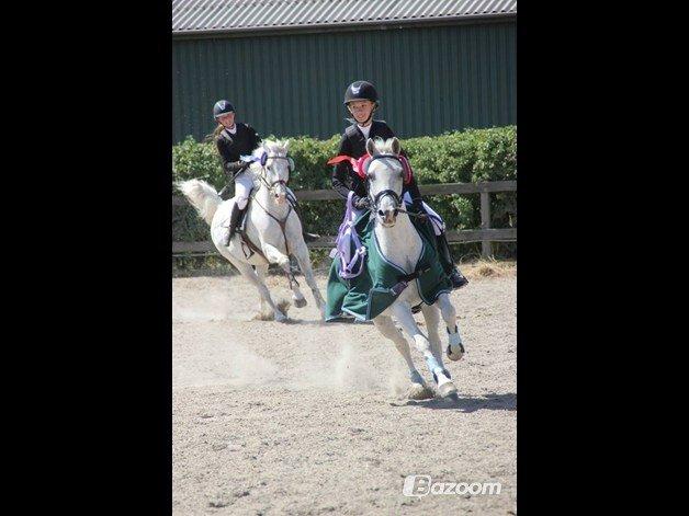 Anden særlig race Chagall (solgt) - Æresrunde da vi blev klubmestre 2013!<3 Foto: Josephine Mertinitz billede 6