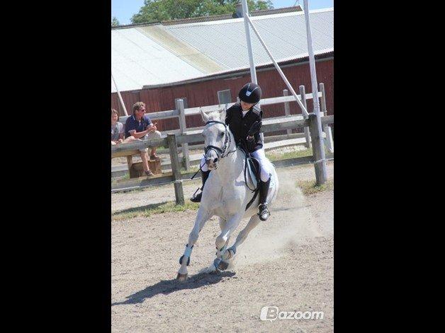 Anden særlig race Chagall (solgt) - Glad efter fejlfri omspring hvor vi blev klubmestre 2013!<3 Foto: Josephine Mertinitz billede 7