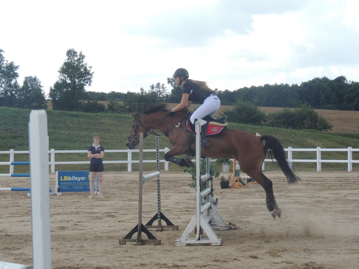 Anden særlig race Esmaralda - MB* 4 fejl 2. plads billede 21