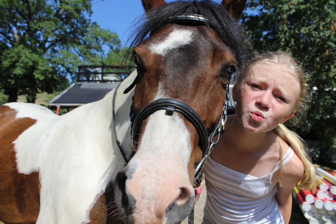 Anden særlig race Jack (savnet) billede 8