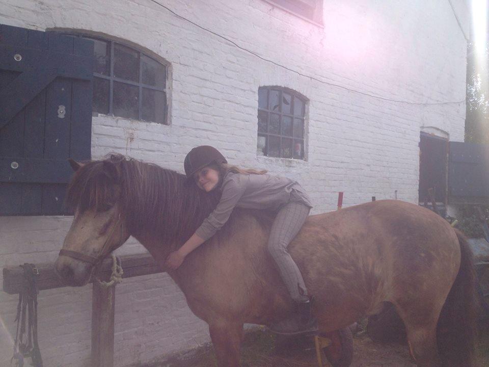 Islænder Blettur fra Tjenergården billede 19