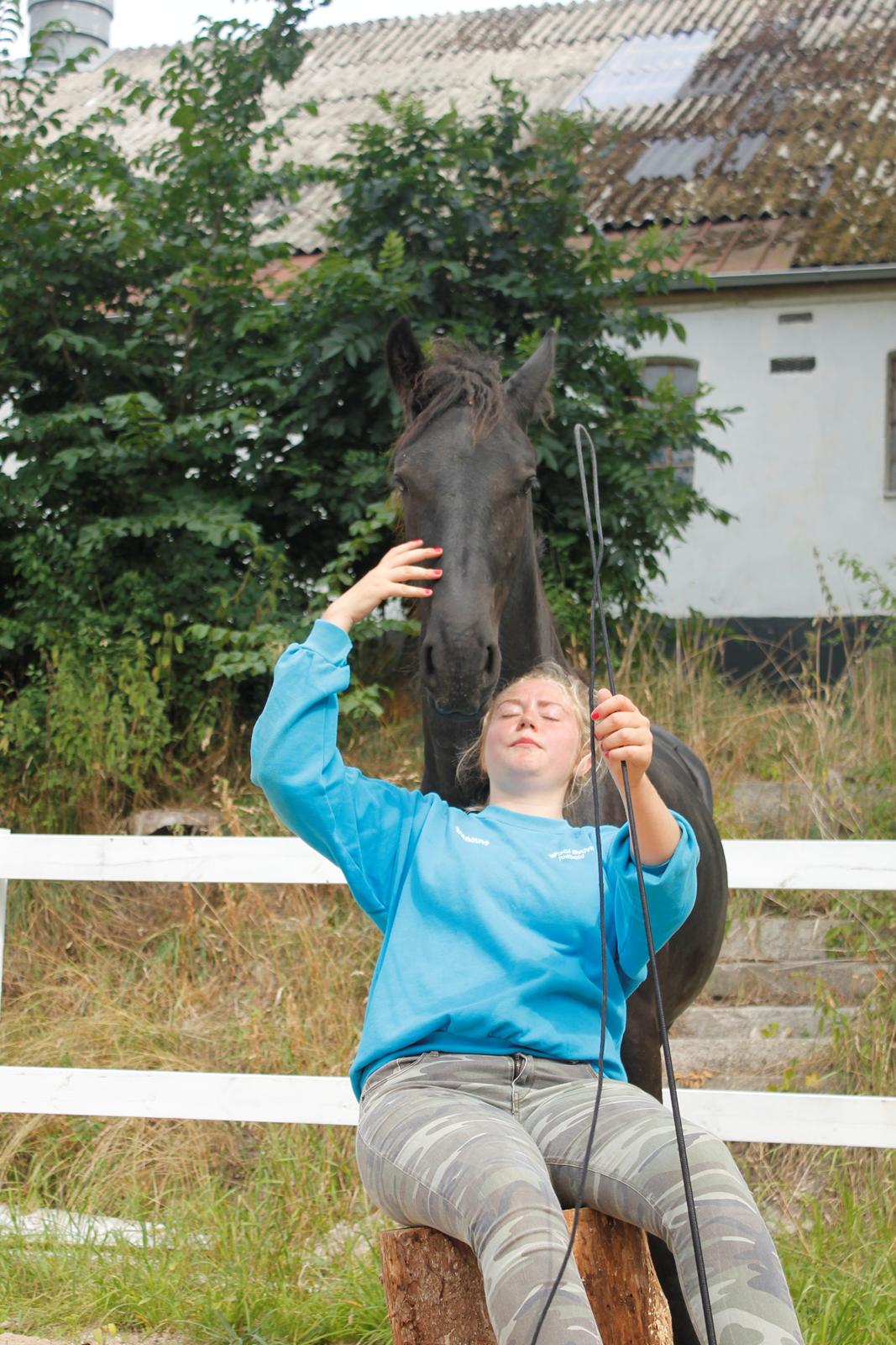 Frieser Myrrha van Høgstedgaard billede 14