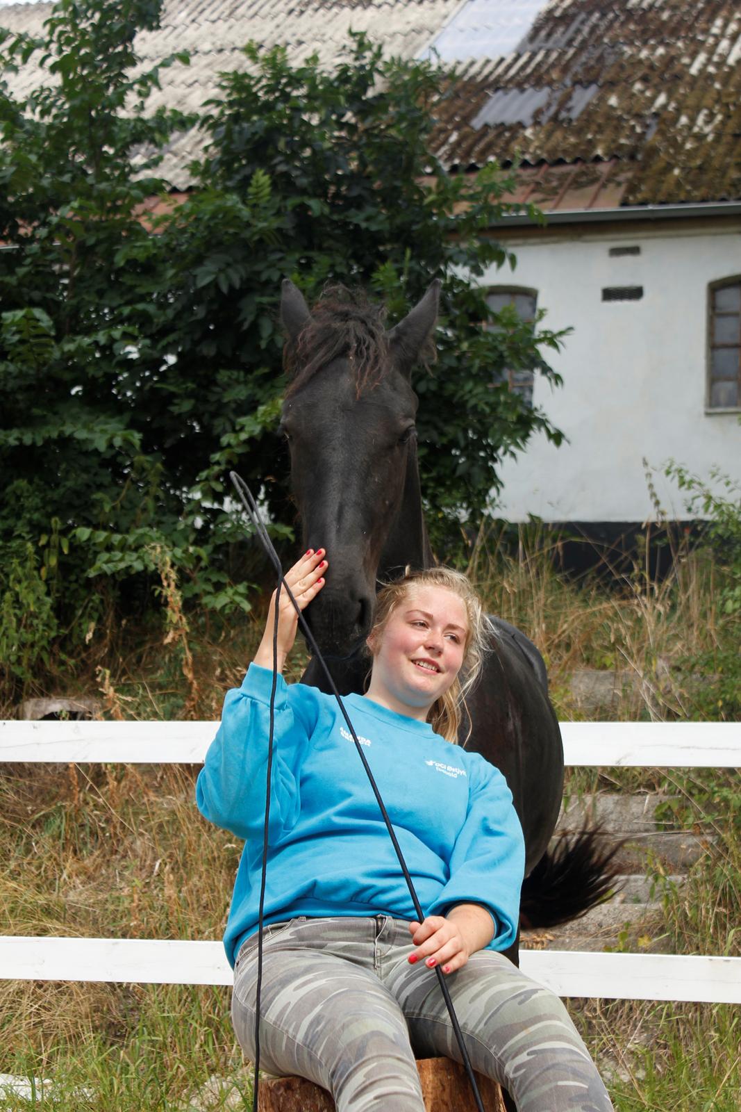 Frieser Myrrha van Høgstedgaard billede 15