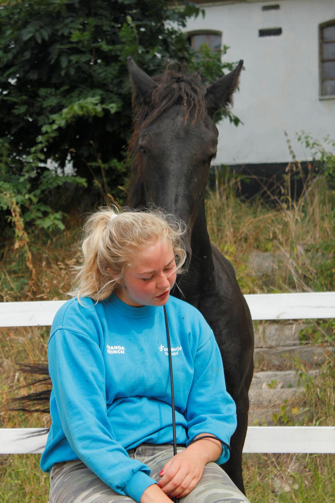 Frieser Myrrha van Høgstedgaard billede 16