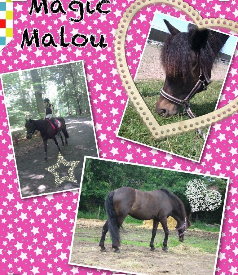 Anden særlig race Magic Malou <3<3 billede 12