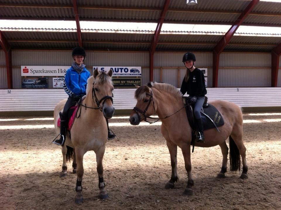 Fjordhest tronelunds sandre - mig og sandra og min bedste veninde cecilie og hendes hest susan   billede 9