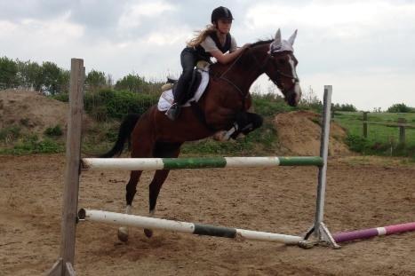 Hollandsk Sportspony Philippa - Sydjysk mester military 2014 - spring ! :) billede 7