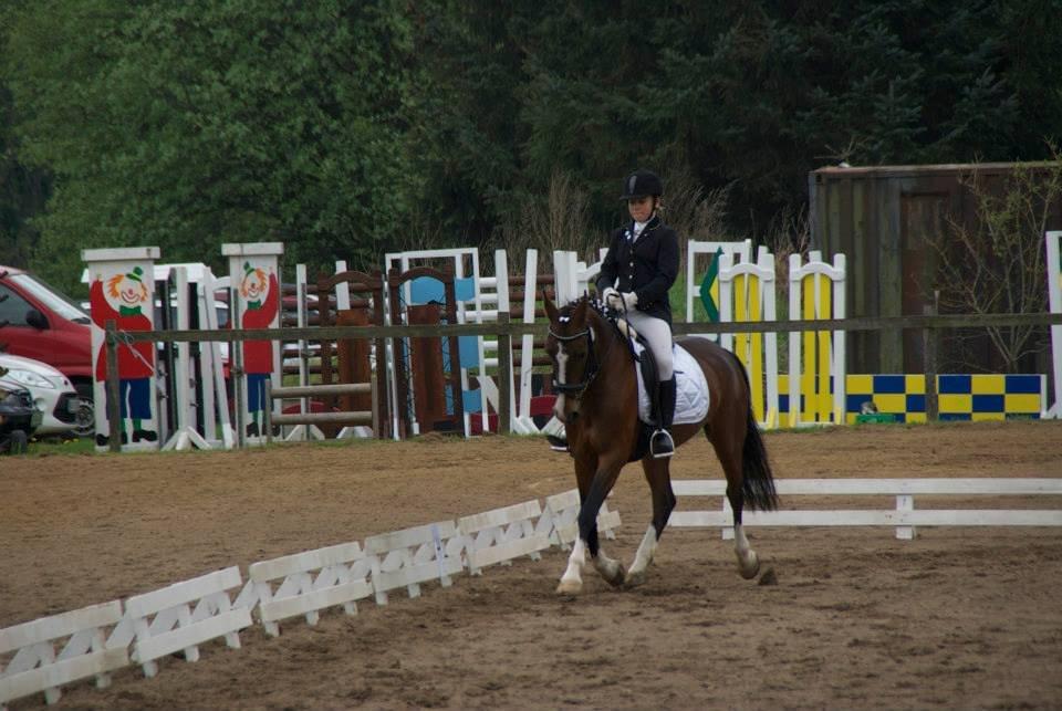 Hollandsk Sportspony Philippa - Sydjysk mester military 2014 - kommunemesterskab på Philippa :) billede 9