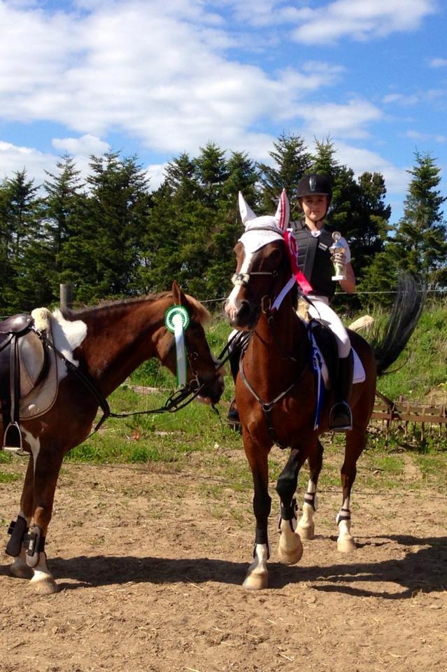 Hollandsk Sportspony Philippa - Sydjysk mester military 2014 - 1 plads i sj-ts.dk cup :) <3 billede 14