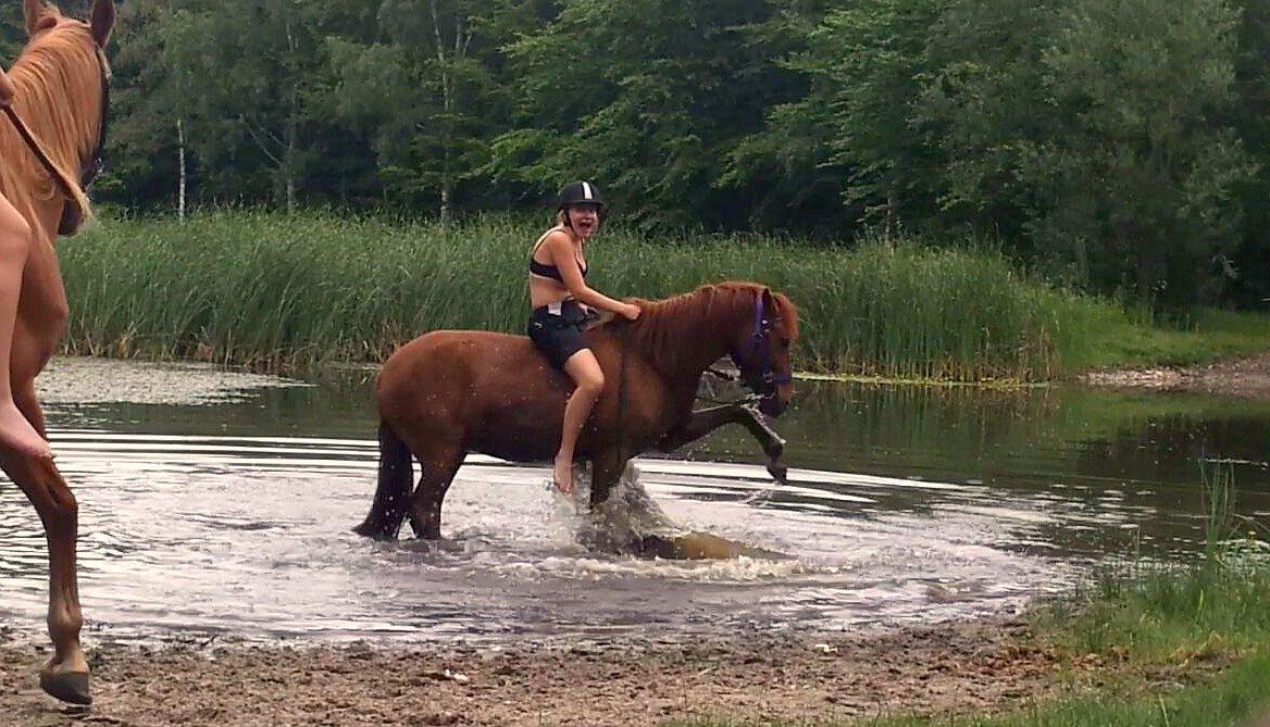 Anden særlig race | Galina Desire - 3. august 2013 billede 18