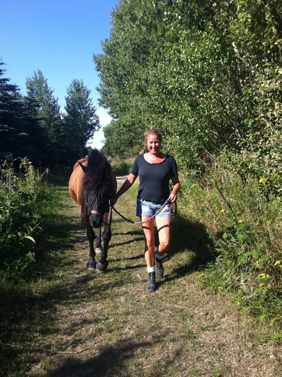 Hollandsk Sportspony Black Boy billede 14