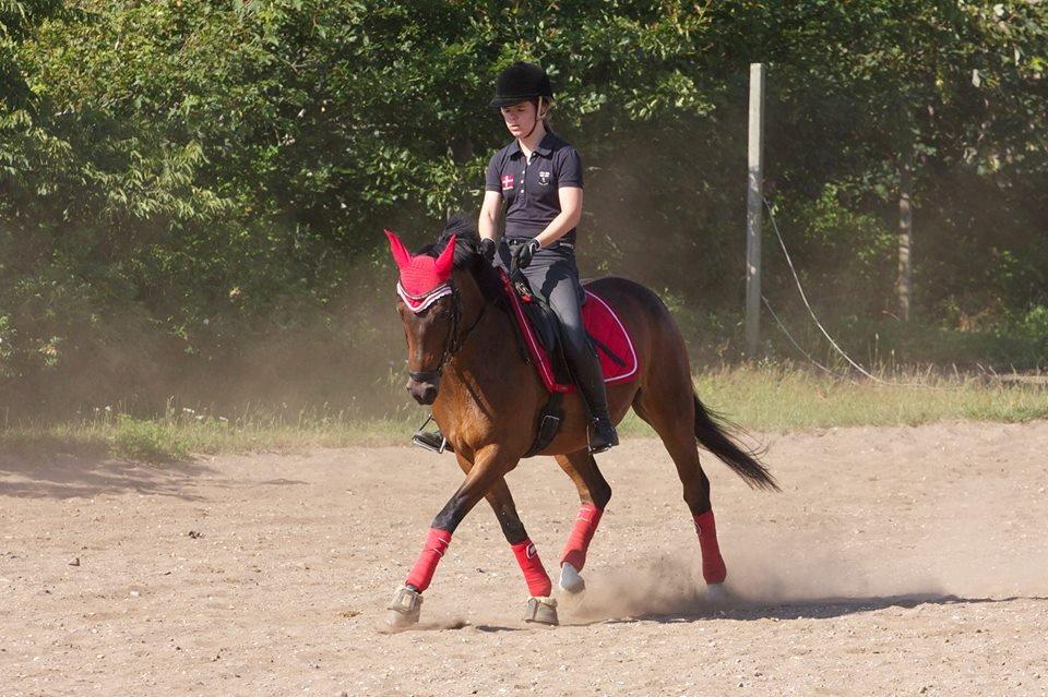 DSP Darling (Prinsessen<3) - Myyys, i love that pony, she means so uch for mee! And i love every second with here! :-* billede 20