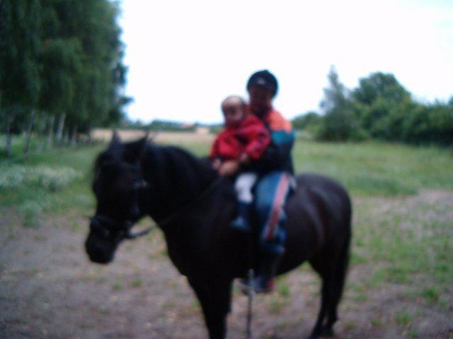 Anden særlig race Lucky - Undskyld kvaliteten.. MEN... ville have det med, fordi det er mig og min lillebror på Lucky... billede 5