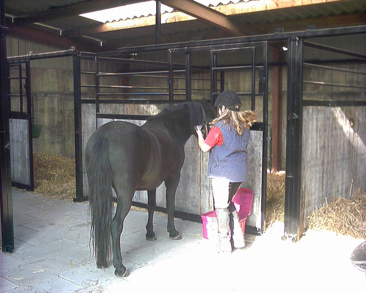 Anden særlig race Lucky - På staldgangen ved min undeviser billede 3