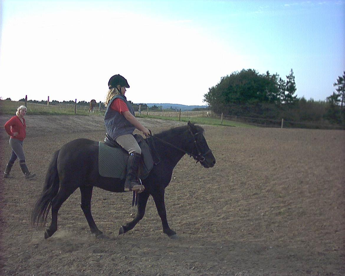 Anden særlig race Lucky billede 7