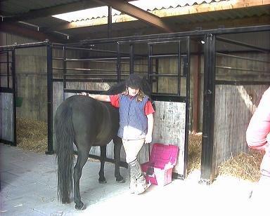 Anden særlig race Lucky billede 4