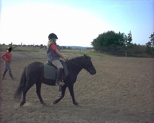 Anden særlig race Lucky billede 8