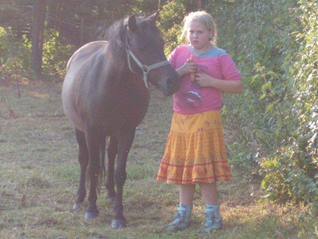 Anden særlig race Lucky - Min ynglings pony, på sommerfold.. billede 9