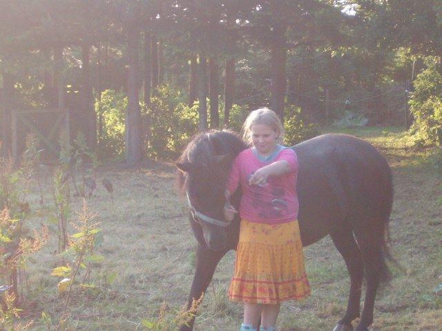 Anden særlig race Lucky billede 11