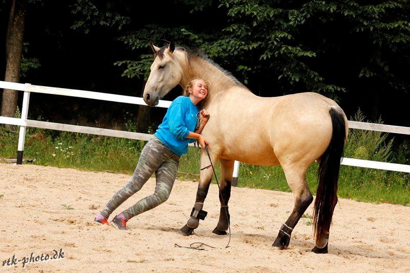 Barockpferd Birkegaards Braveheart R.I.P - Emma forsøger at få brave til at bevæge sig. Det lykkedas ikke specielt godt  ;-) billede 9