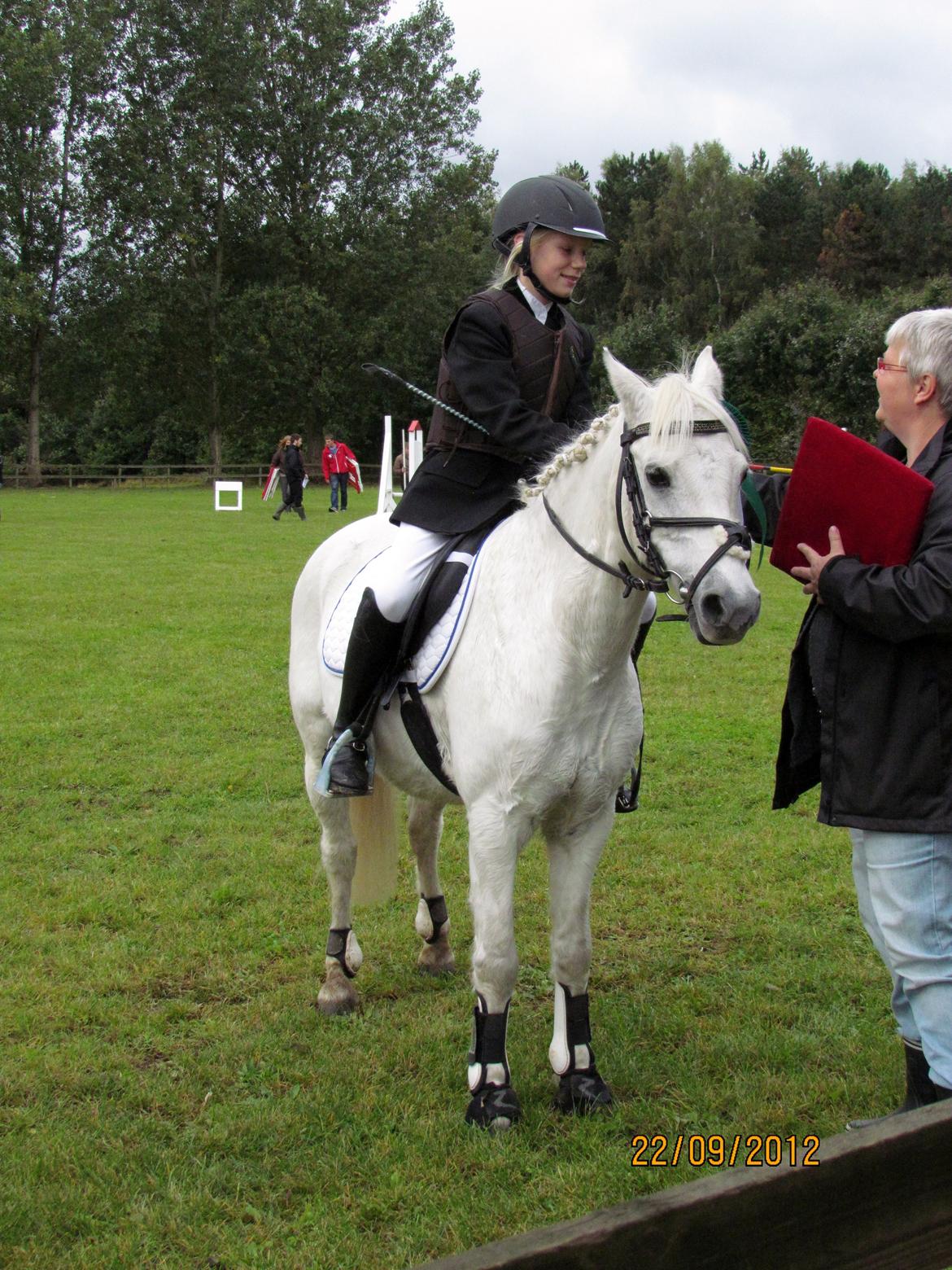 Welsh Pony (sec B) Shadow billede 34