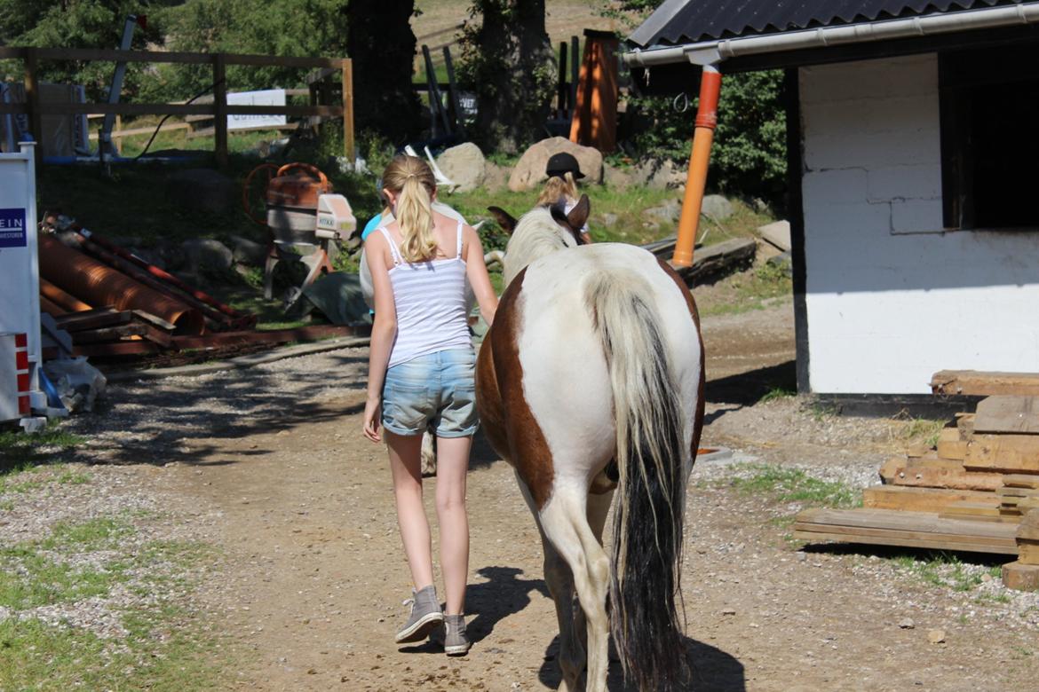 Anden særlig race Jack (savnet) - Tak besøget, og farvel, til både jer og Jack :'( billede 39