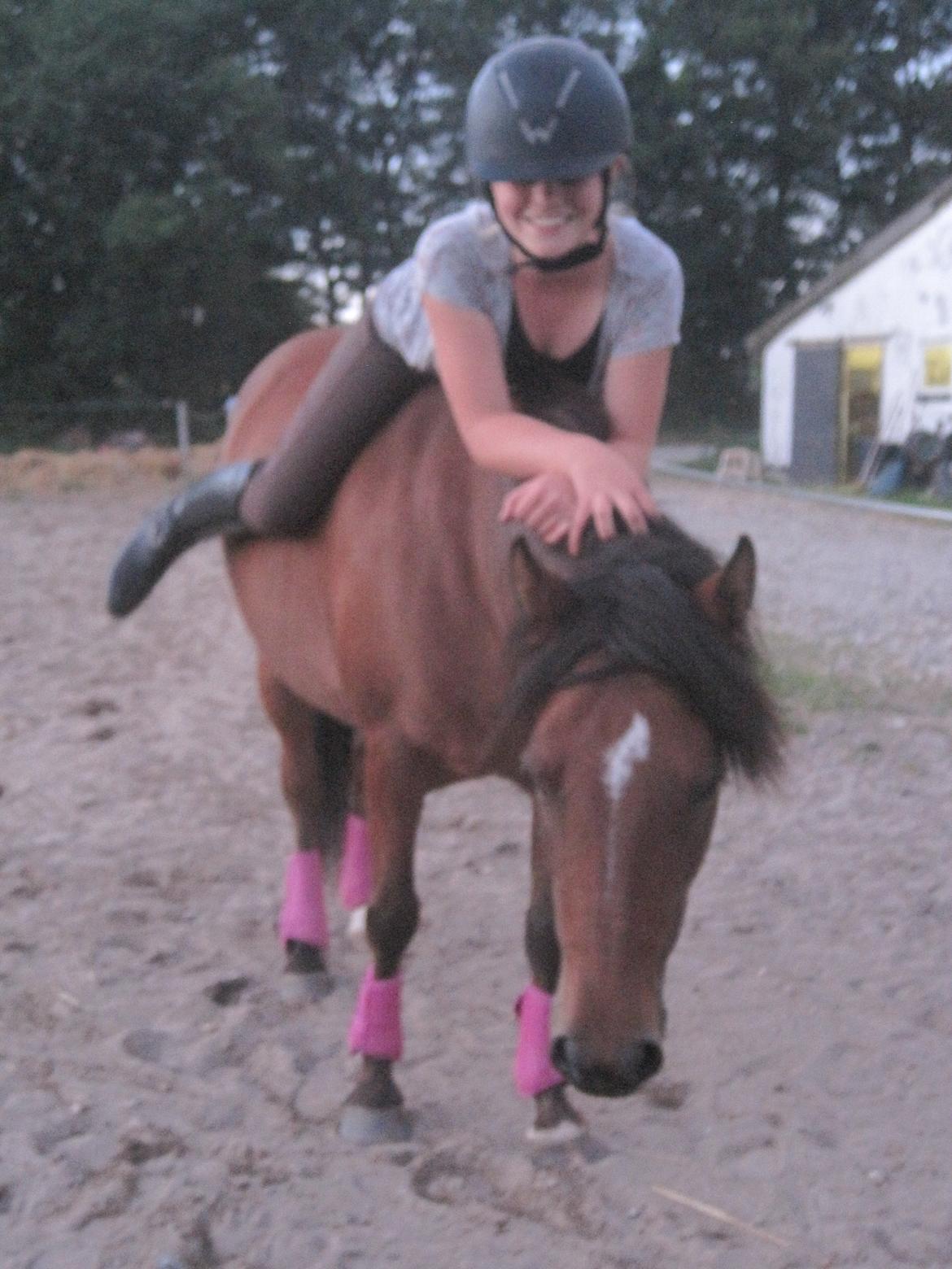 Anden særlig race Fiona mega sød pony<3<3 - træning uden udstyr billede 9