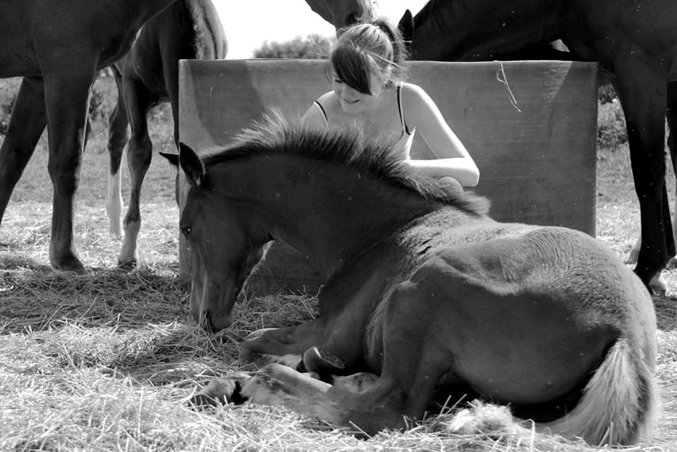 Dansk Varmblod Lajgårdens Carisma - No words needs to be spoken, I know it already: this is meant to be!  - fotograf: Sabrina <3 :-* billede 5