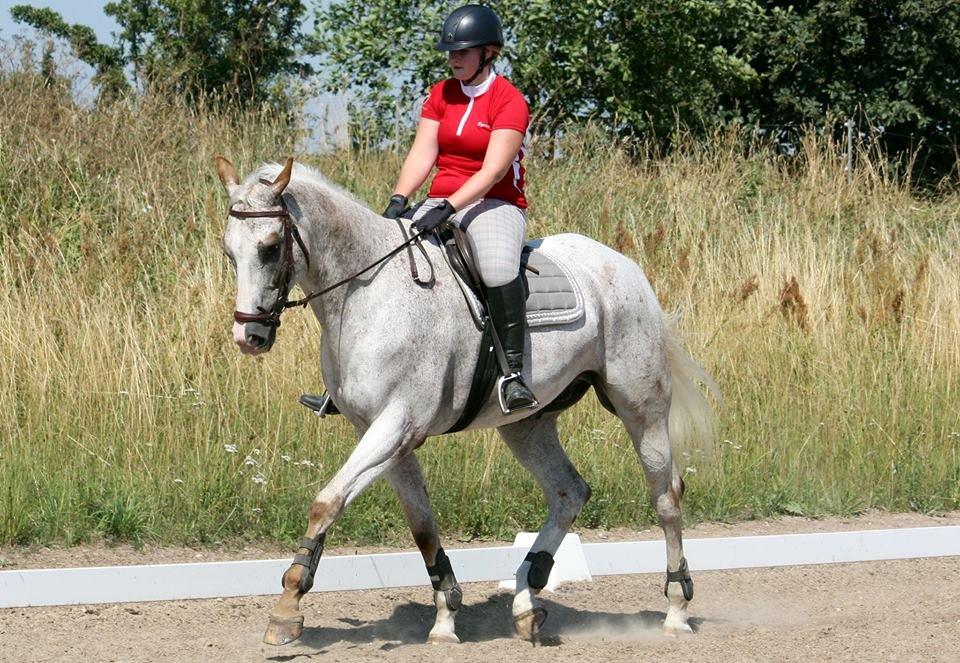 Anden særlig race Timon *min baby hest :D * - foto :Alexandra billede 15