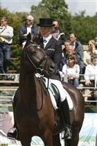 Dansk Varmblod Treldegårds Shantiana billede 2