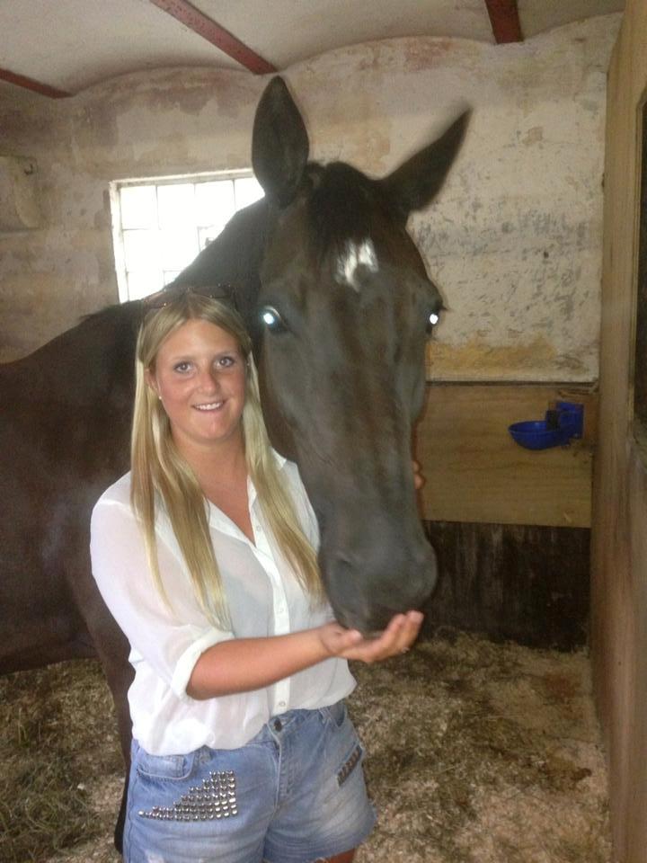 Dansk Varmblod Treldegårds Shantiana billede 3