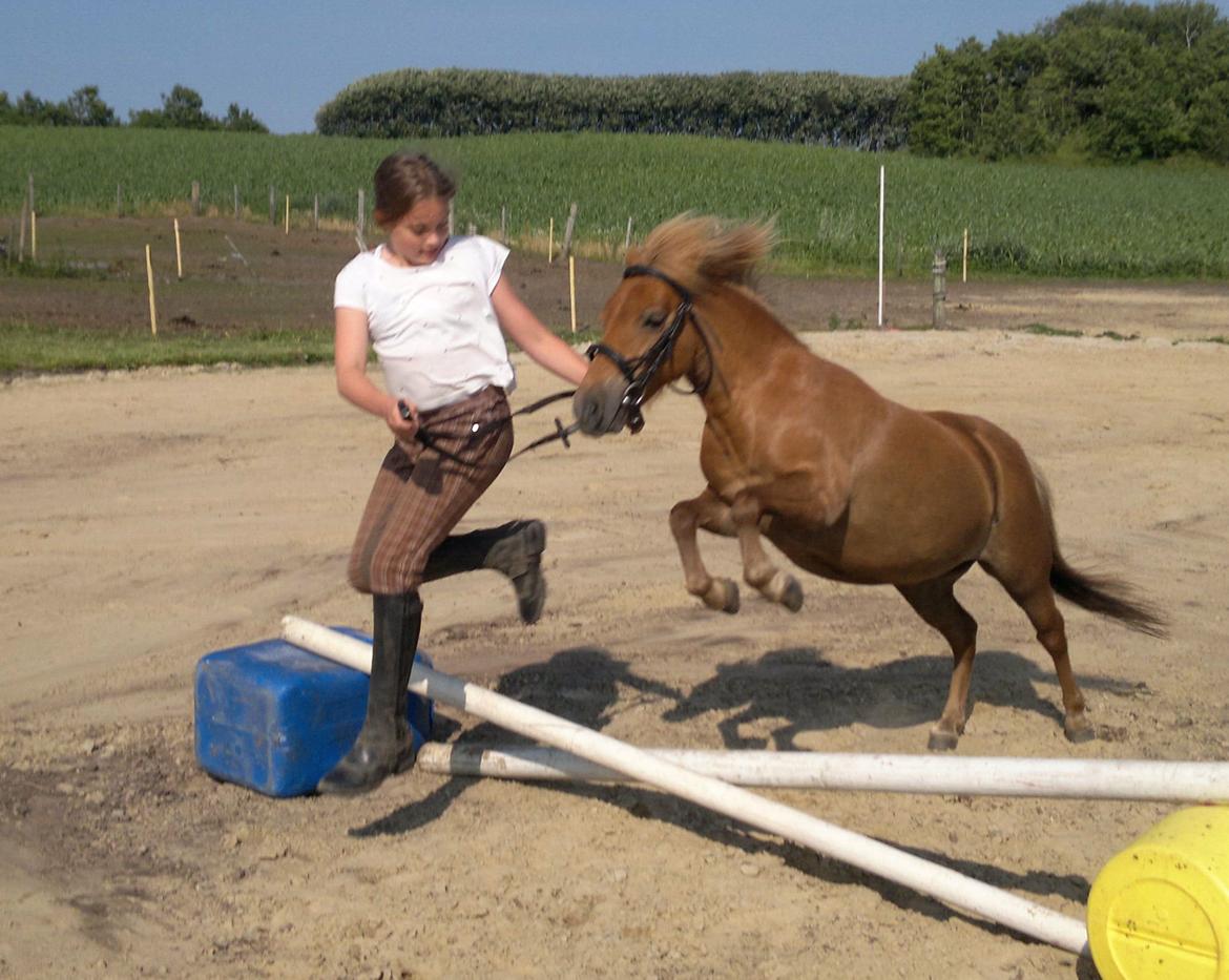 Anden særlig race nips billede 8