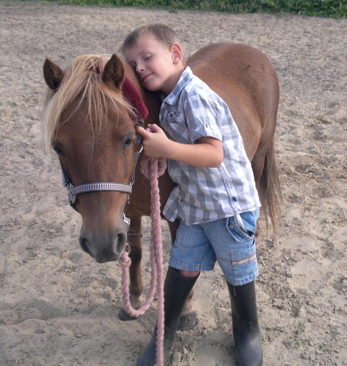 Anden særlig race nips billede 18