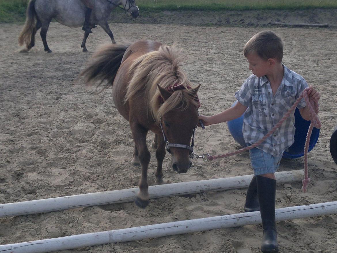 Anden særlig race nips billede 16