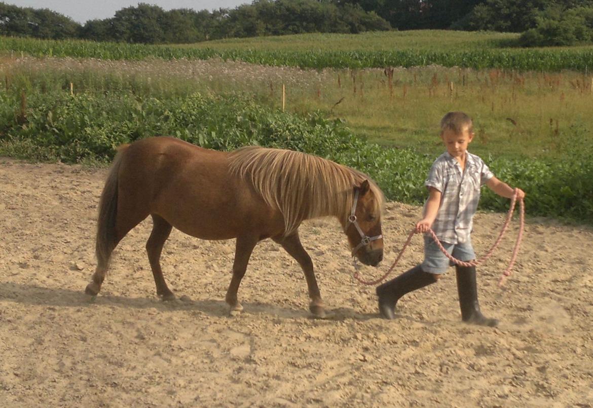 Anden særlig race nips billede 3