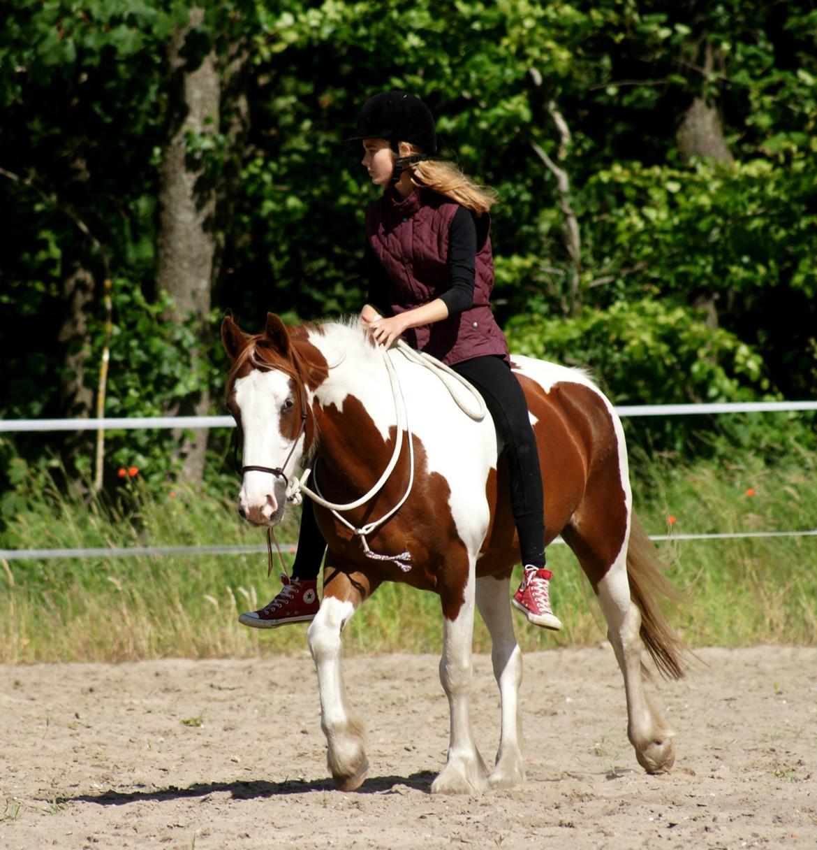 Pinto Tinker blanding Ronja "Ponyen med pletter" - Et billede fra Ridelejr 2013 hos Ryttercentering.  billede 1