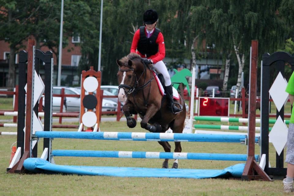 New Forest Koedijks Milano *Låner* - Vandgrav i LC, 1. plads! :-D billede 14