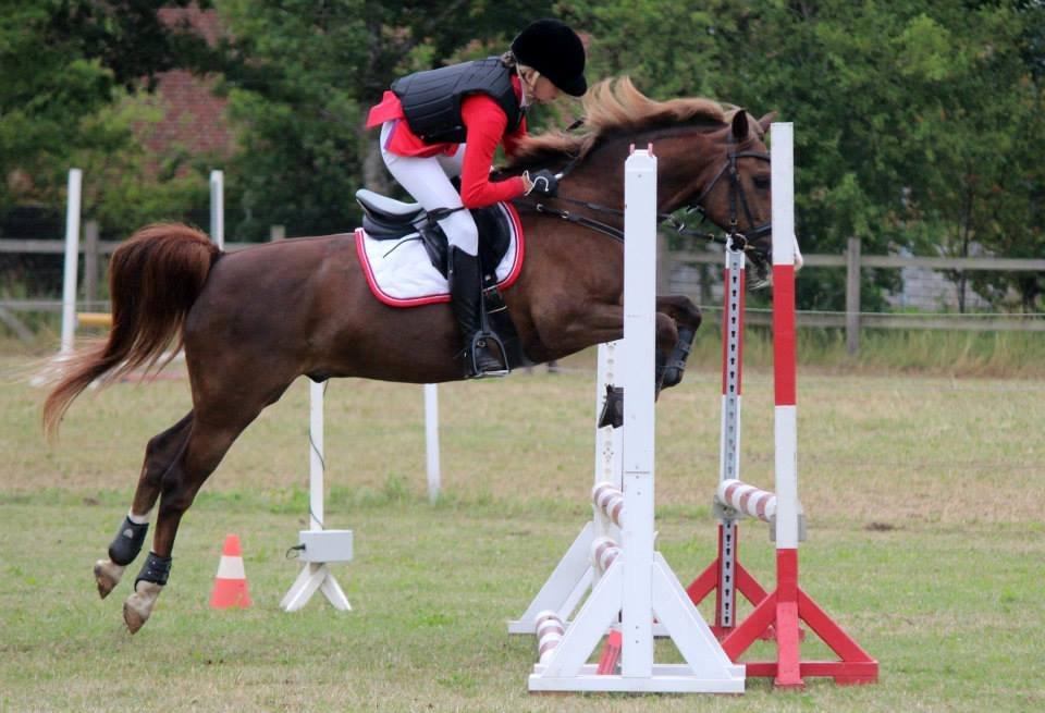 New Forest Koedijks Milano *Låner* - Omspringning (-: billede 17