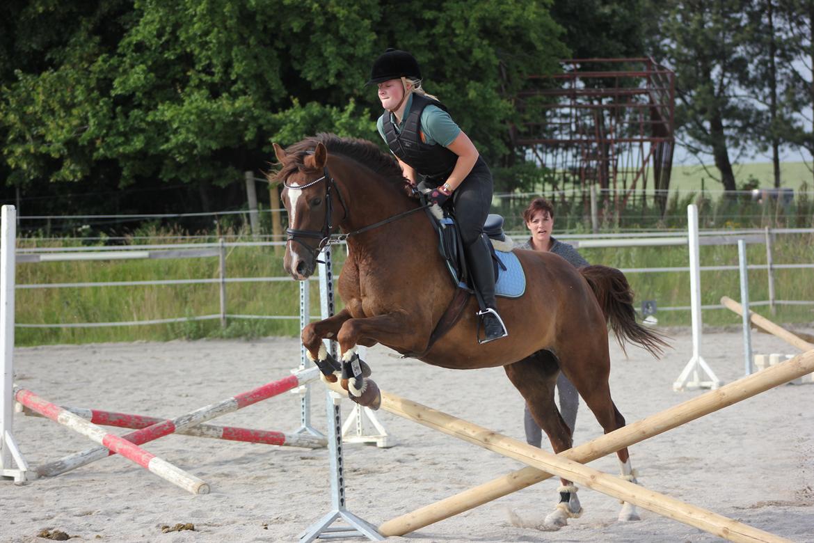 DSP Vasehøjs Kaia - Spring træning Juli 2013 billede 6