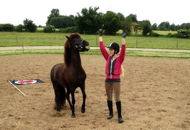 Islænder Dimma fra Kringlan billede 8
