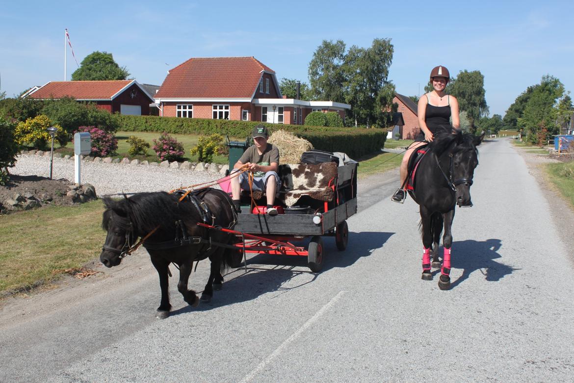 DSP Fiona billede 22